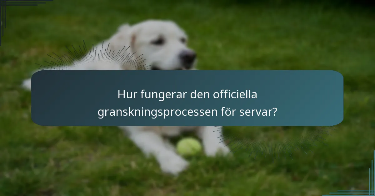 Hur fungerar den officiella granskningsprocessen för servar?