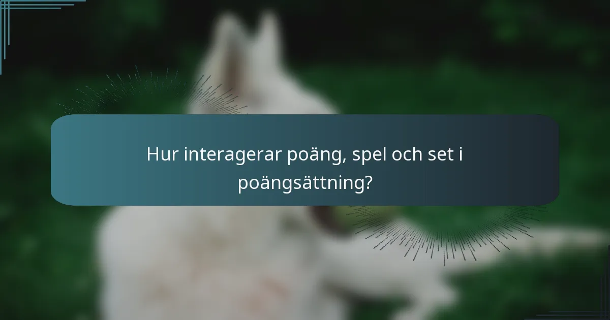 Hur interagerar poäng, spel och set i poängsättning?