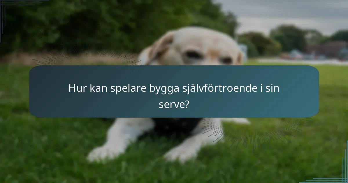 Hur kan spelare bygga självförtroende i sin serve?