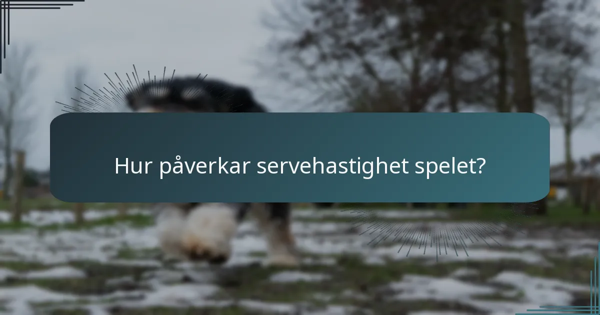 Hur påverkar servehastighet spelet?