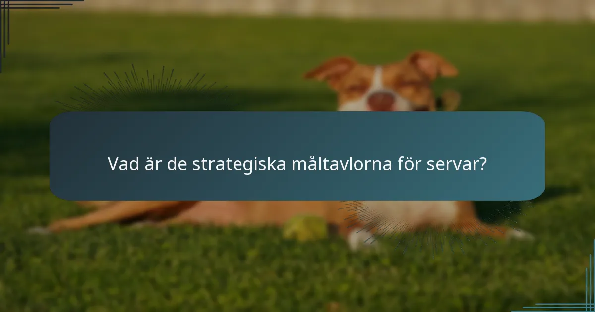 Vad är de strategiska måltavlorna för servar?