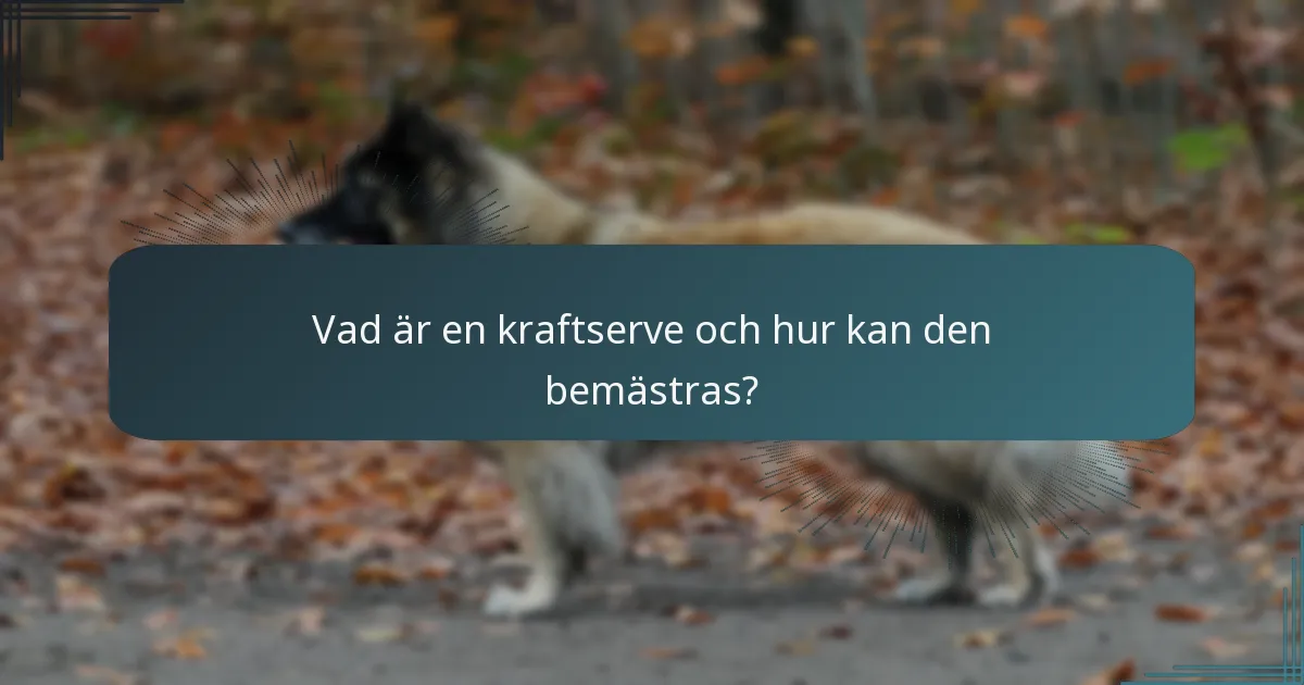 Vad är en kraftserve och hur kan den bemästras?