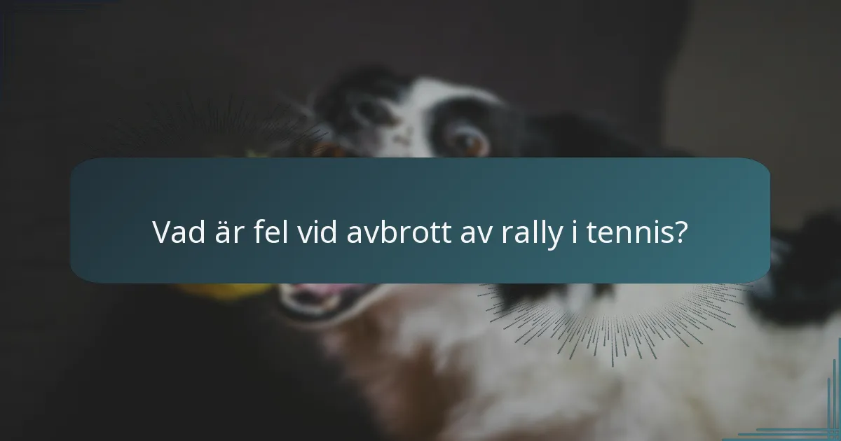 Vad är fel vid avbrott av rally i tennis?