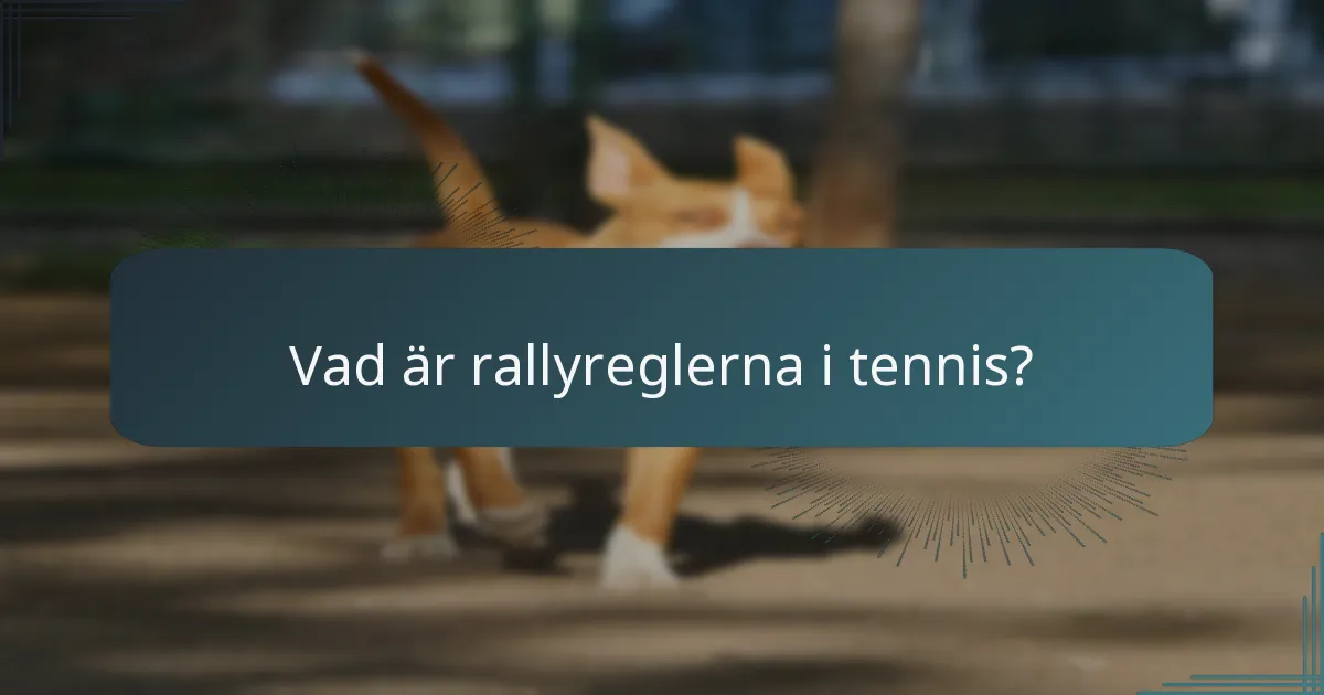 Vad är rallyreglerna i tennis?