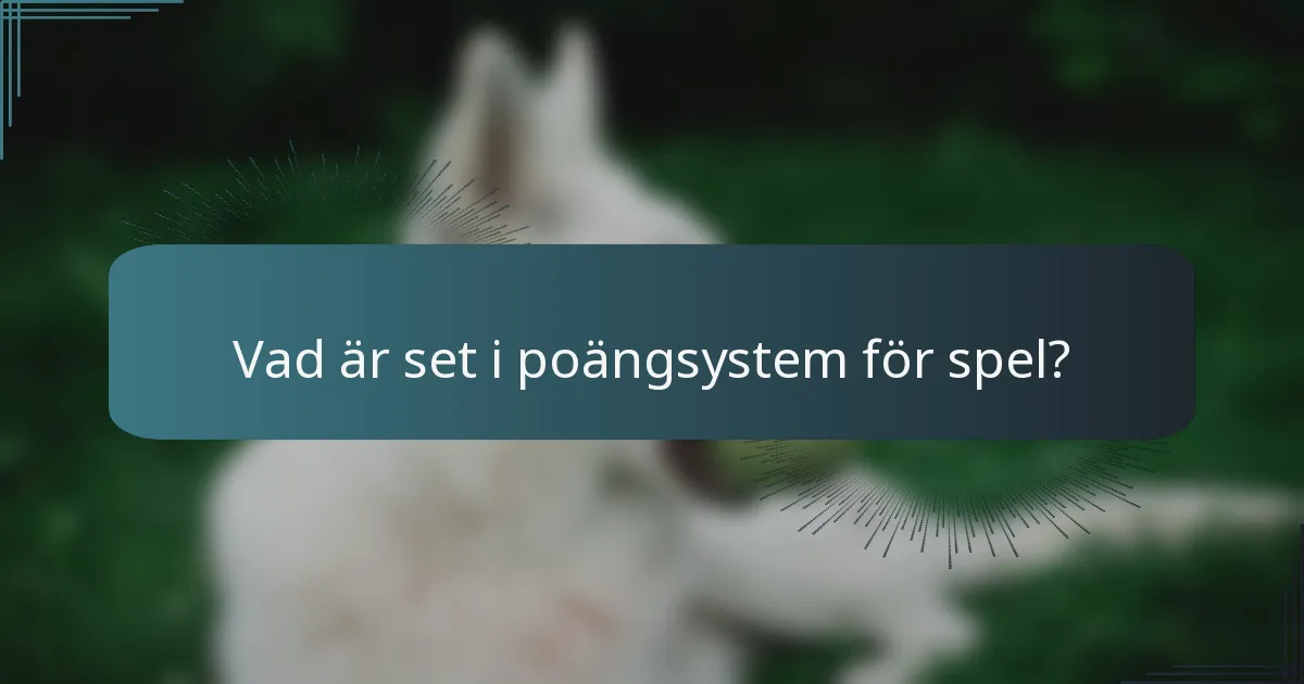 Vad är set i poängsystem för spel?