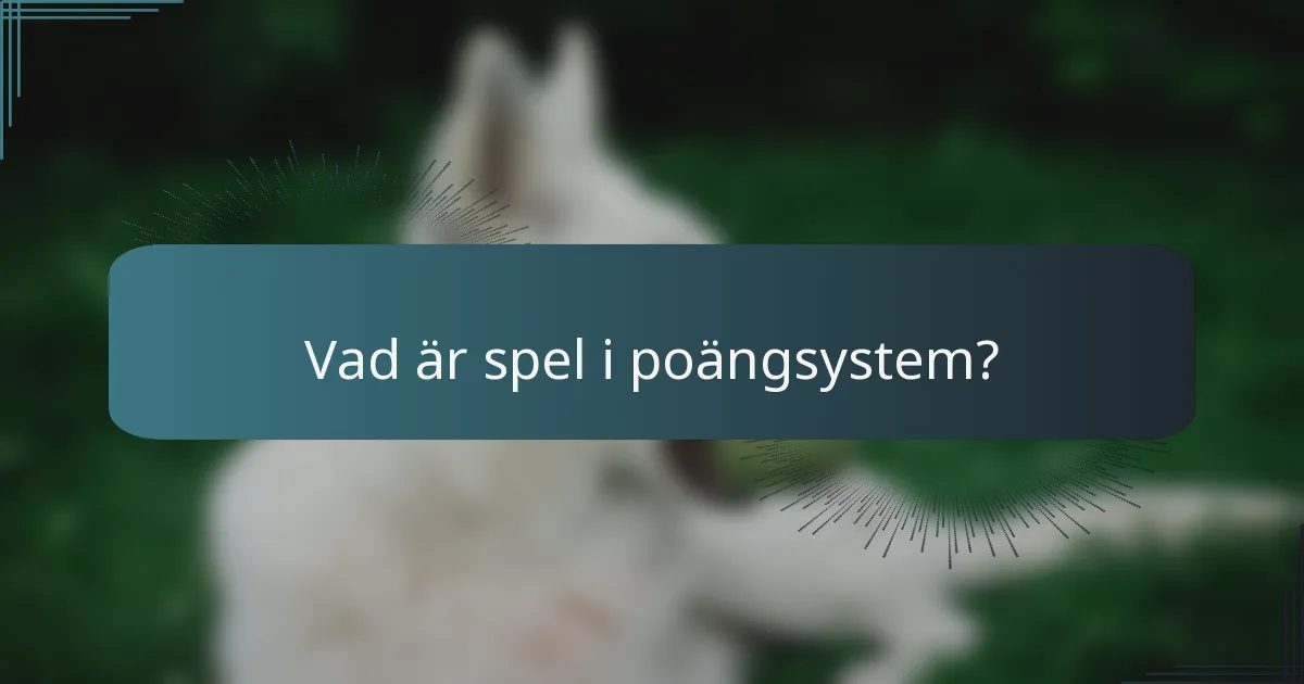 Vad är spel i poängsystem?