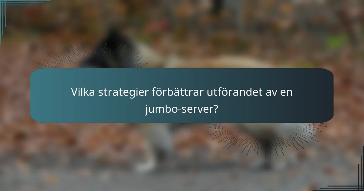 Vilka strategier förbättrar utförandet av en jumbo-server?